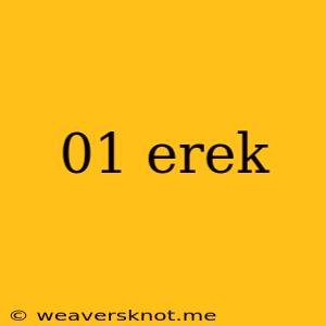 01 Erek