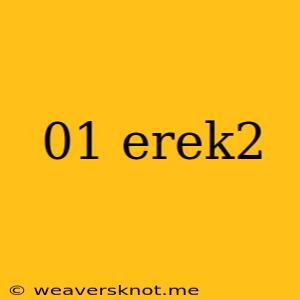 01 Erek2