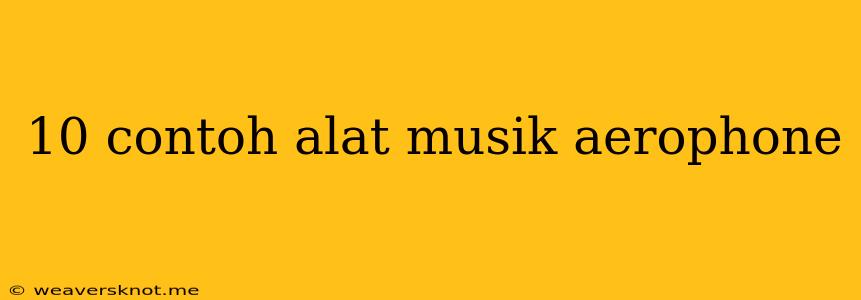 10 Contoh Alat Musik Aerophone