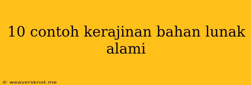 10 Contoh Kerajinan Bahan Lunak Alami