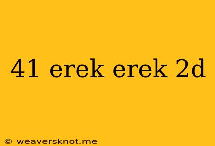 41 Erek Erek 2d