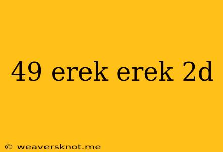 49 Erek Erek 2d