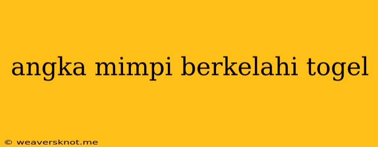 Angka Mimpi Berkelahi Togel