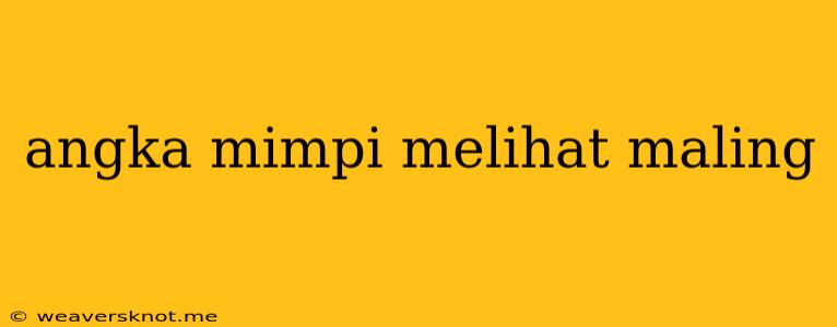 Angka Mimpi Melihat Maling