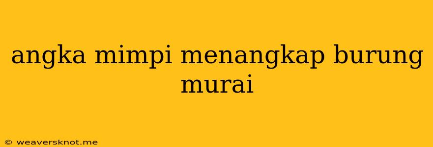 Angka Mimpi Menangkap Burung Murai