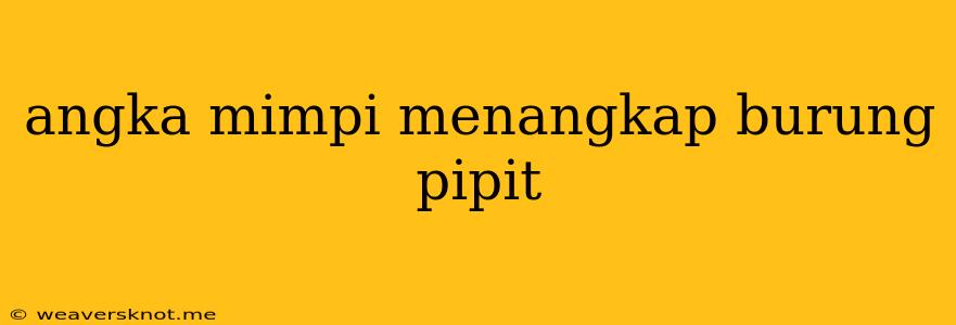 Angka Mimpi Menangkap Burung Pipit