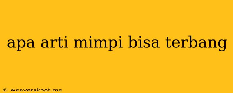 Apa Arti Mimpi Bisa Terbang