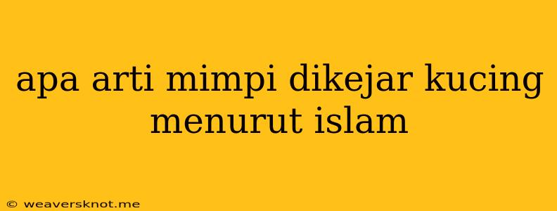 Apa Arti Mimpi Dikejar Kucing Menurut Islam