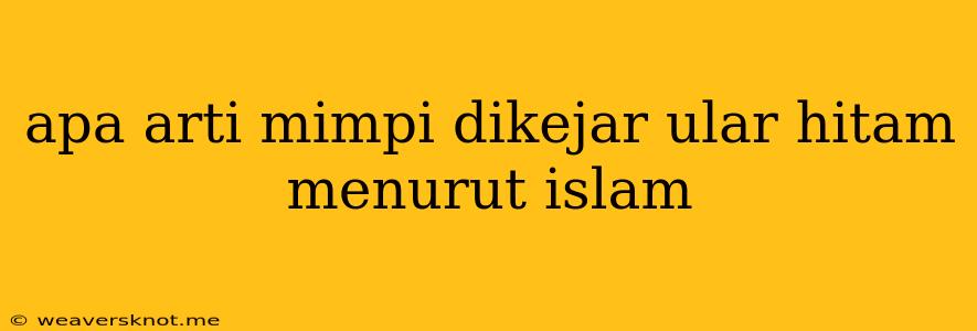 Apa Arti Mimpi Dikejar Ular Hitam Menurut Islam