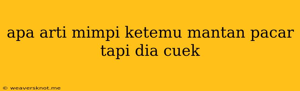 Apa Arti Mimpi Ketemu Mantan Pacar Tapi Dia Cuek