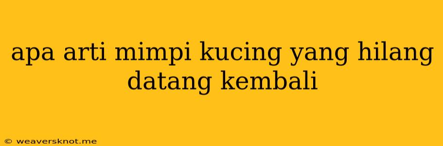 Apa Arti Mimpi Kucing Yang Hilang Datang Kembali