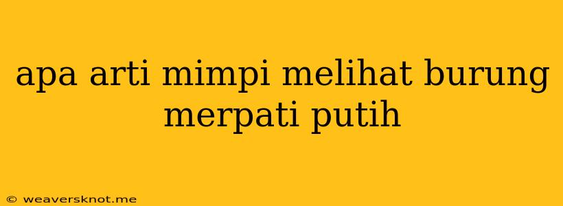 Apa Arti Mimpi Melihat Burung Merpati Putih