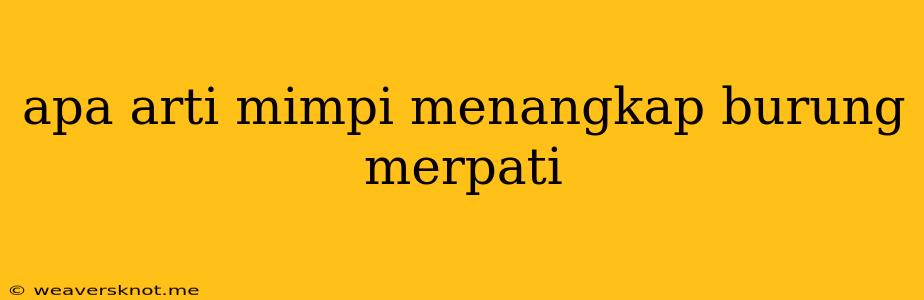 Apa Arti Mimpi Menangkap Burung Merpati