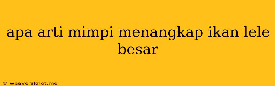 Apa Arti Mimpi Menangkap Ikan Lele Besar