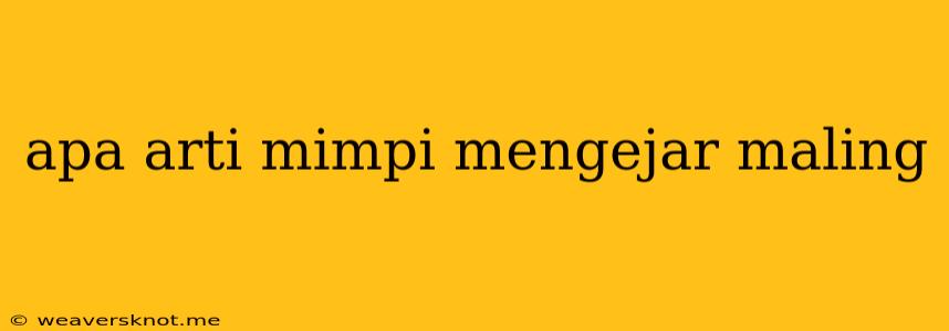 Apa Arti Mimpi Mengejar Maling