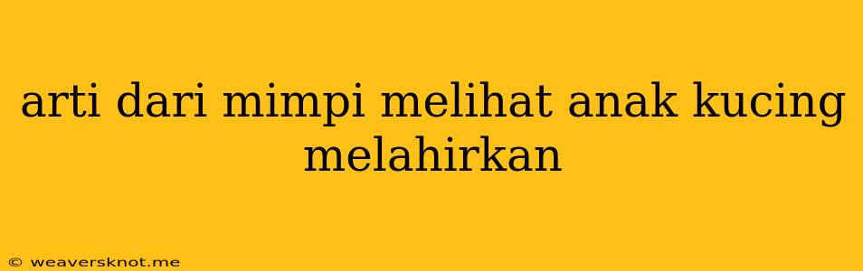 Arti Dari Mimpi Melihat Anak Kucing Melahirkan