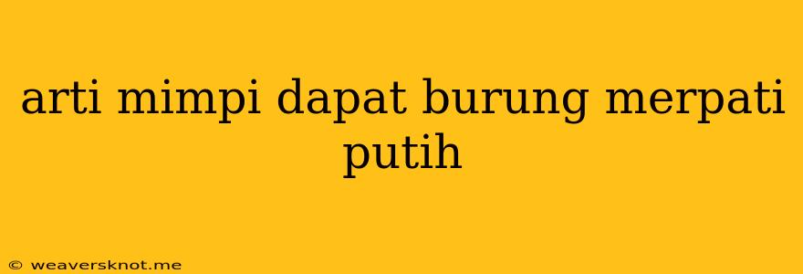 Arti Mimpi Dapat Burung Merpati Putih