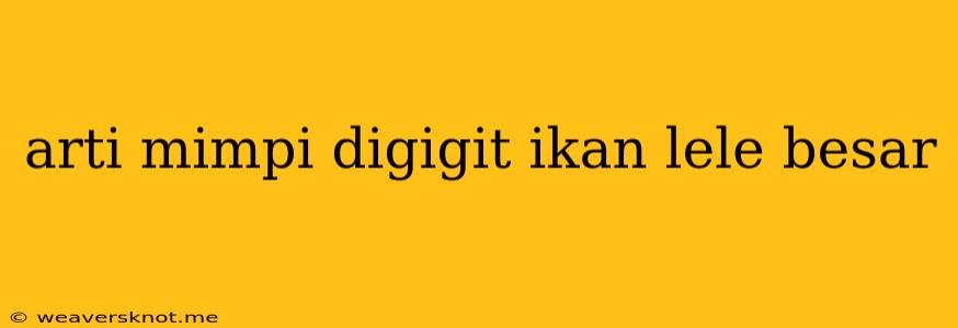 Arti Mimpi Digigit Ikan Lele Besar