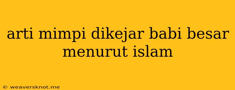 Arti Mimpi Dikejar Babi Besar Menurut Islam