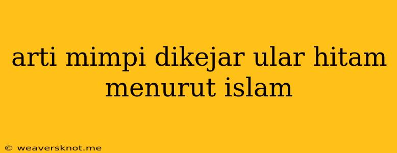 Arti Mimpi Dikejar Ular Hitam Menurut Islam