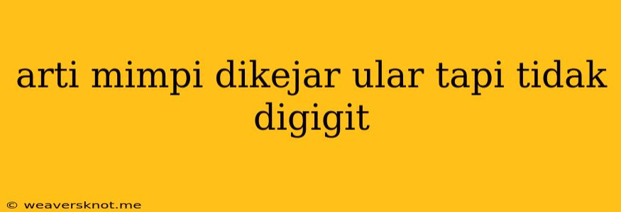 Arti Mimpi Dikejar Ular Tapi Tidak Digigit