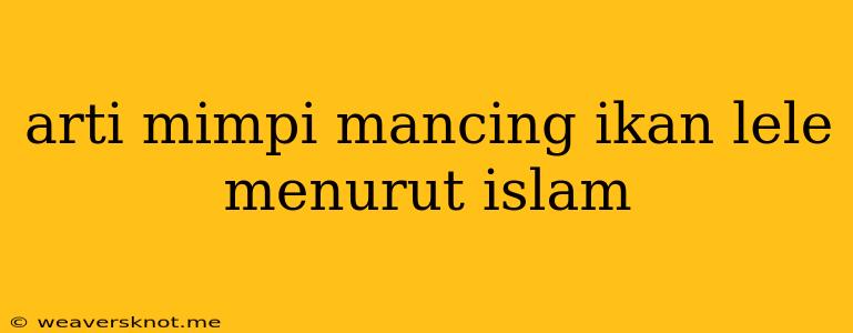 Arti Mimpi Mancing Ikan Lele Menurut Islam