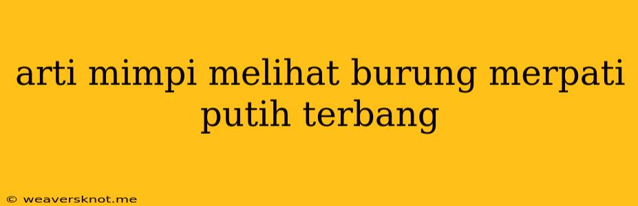 Arti Mimpi Melihat Burung Merpati Putih Terbang