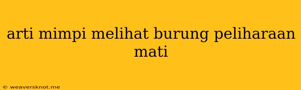 Arti Mimpi Melihat Burung Peliharaan Mati