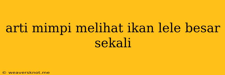 Arti Mimpi Melihat Ikan Lele Besar Sekali