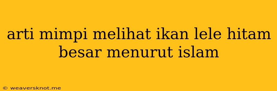 Arti Mimpi Melihat Ikan Lele Hitam Besar Menurut Islam