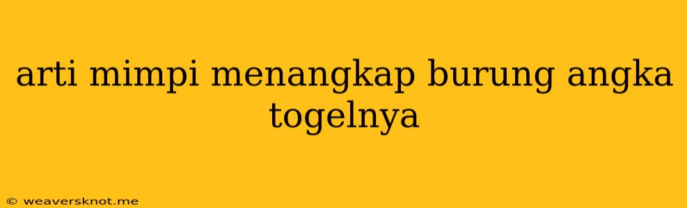 Arti Mimpi Menangkap Burung Angka Togelnya