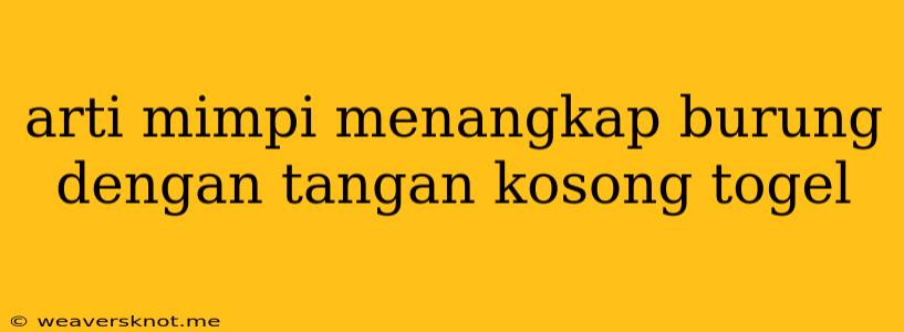 Arti Mimpi Menangkap Burung Dengan Tangan Kosong Togel