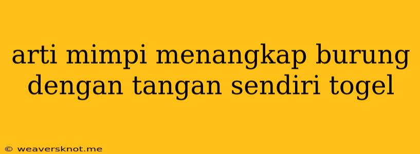 Arti Mimpi Menangkap Burung Dengan Tangan Sendiri Togel