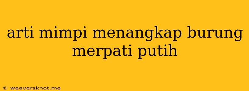 Arti Mimpi Menangkap Burung Merpati Putih