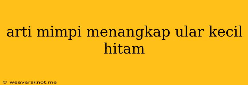 Arti Mimpi Menangkap Ular Kecil Hitam