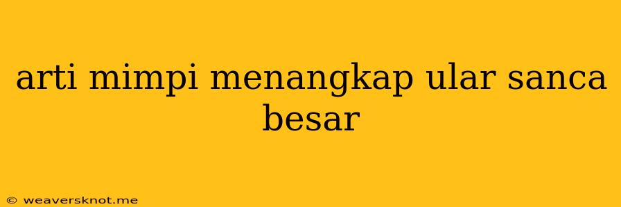 Arti Mimpi Menangkap Ular Sanca Besar