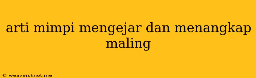 Arti Mimpi Mengejar Dan Menangkap Maling