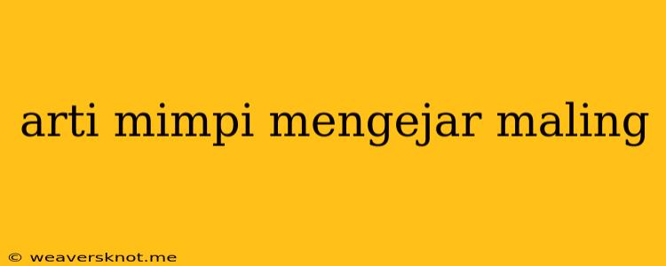 Arti Mimpi Mengejar Maling