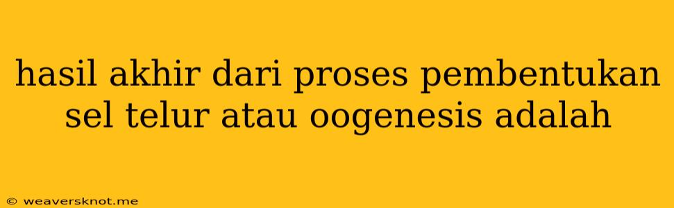 Hasil Akhir Dari Proses Pembentukan Sel Telur Atau Oogenesis Adalah