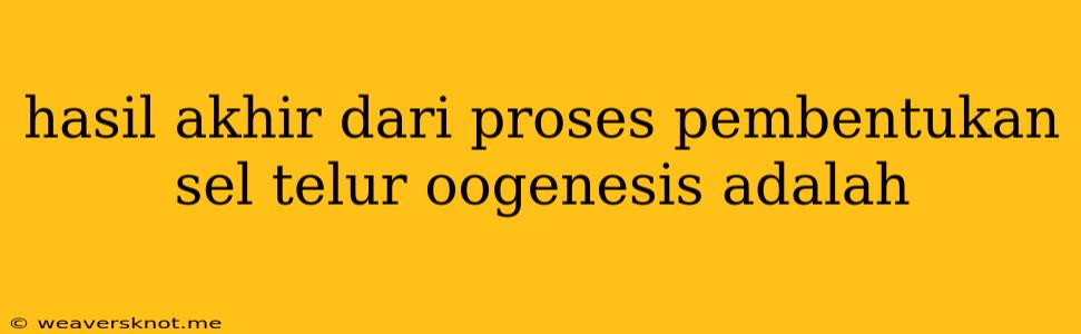 Hasil Akhir Dari Proses Pembentukan Sel Telur Oogenesis Adalah