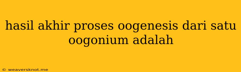 Hasil Akhir Proses Oogenesis Dari Satu Oogonium Adalah