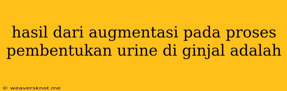 Hasil Dari Augmentasi Pada Proses Pembentukan Urine Di Ginjal Adalah