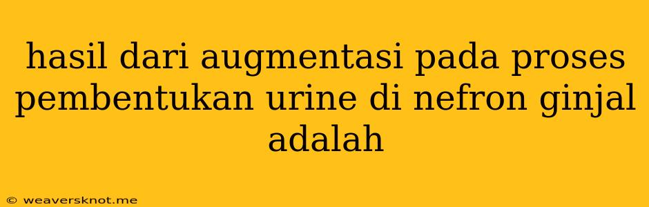 Hasil Dari Augmentasi Pada Proses Pembentukan Urine Di Nefron Ginjal Adalah