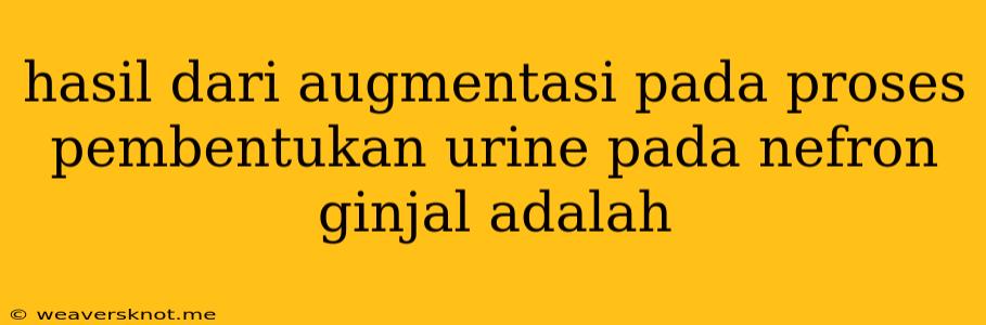 Hasil Dari Augmentasi Pada Proses Pembentukan Urine Pada Nefron Ginjal Adalah