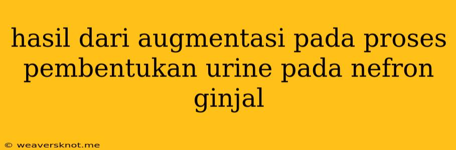 Hasil Dari Augmentasi Pada Proses Pembentukan Urine Pada Nefron Ginjal