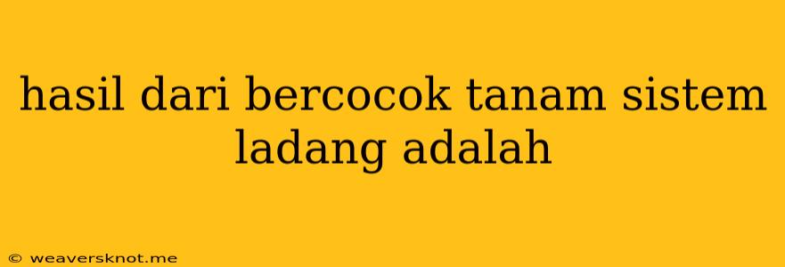 Hasil Dari Bercocok Tanam Sistem Ladang Adalah