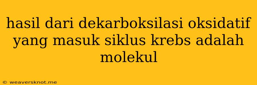 Hasil Dari Dekarboksilasi Oksidatif Yang Masuk Siklus Krebs Adalah Molekul