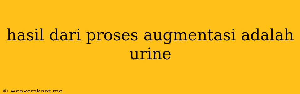 Hasil Dari Proses Augmentasi Adalah Urine