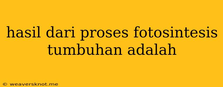 Hasil Dari Proses Fotosintesis Tumbuhan Adalah